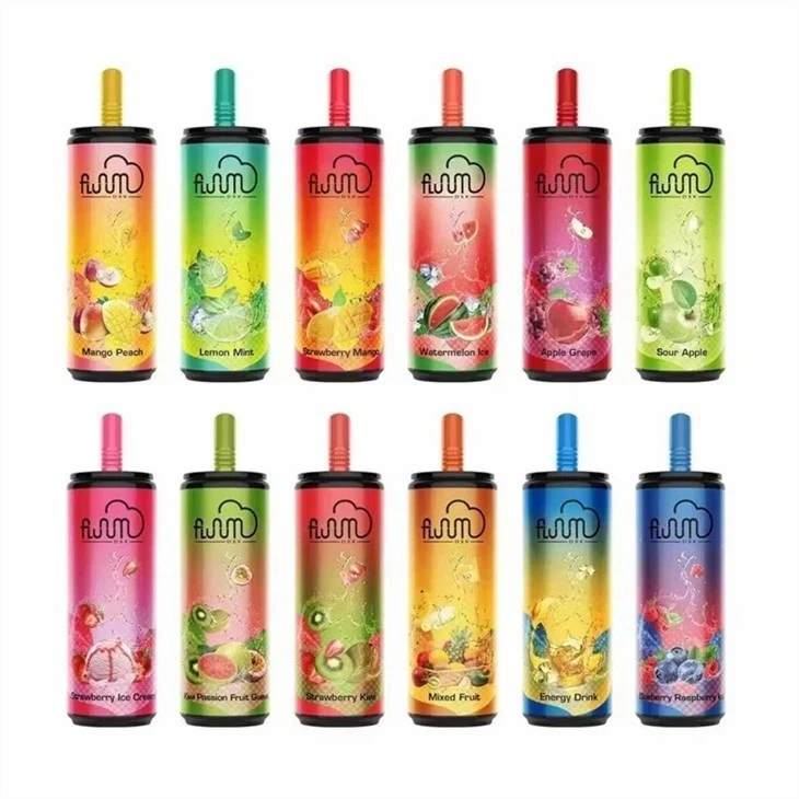 Fluum Bar 6000 Puffs Vape factory
