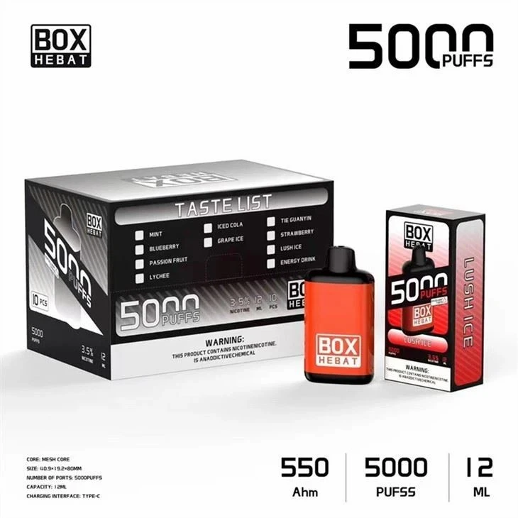 Hebat Box 5000 Puffs Disposable Vape factory