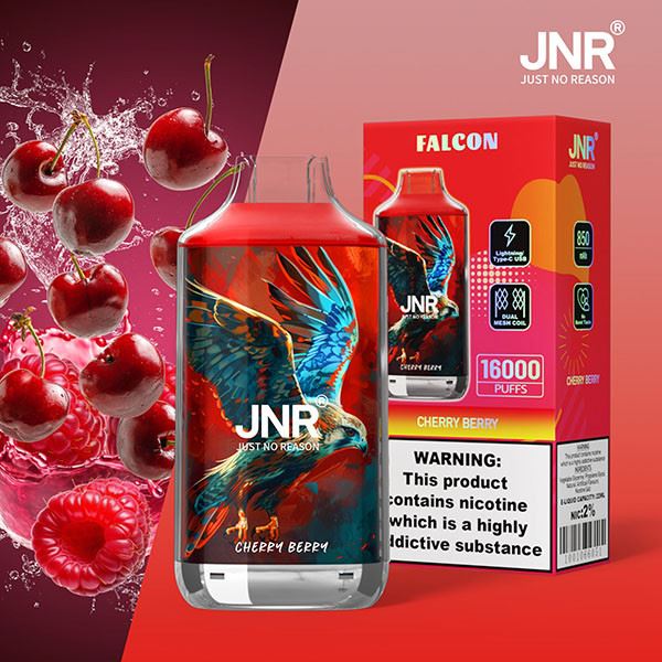 JNR FALCON 16000 Puffs Vape