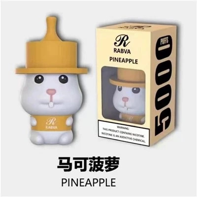 Rabva 5000 puffs vape